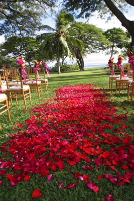red rose petal bridal path: Maui
