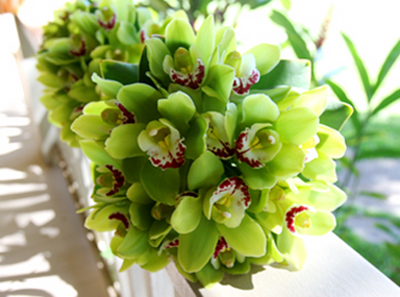 deep green orchid bouquets