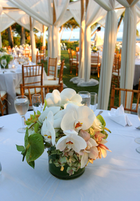 white orchid table maui wedding