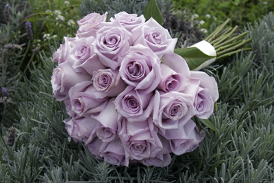 lavender rose bouquet maui