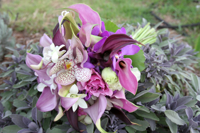 Purple brides bouquet