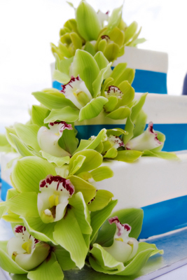 wedding cake staked with green orchids and blue ribbon