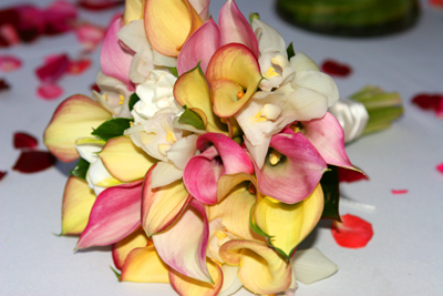 mix of calla lilies, yellow and pink