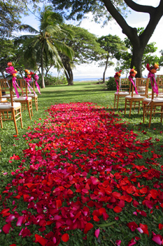 Maui petal path by Blue Sky Weddings