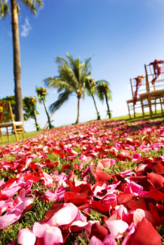 Maui Wedding rose petal path