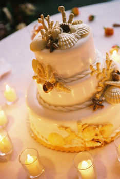 Seashell wedding cake: Maui