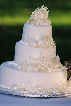white seashell wedding cake