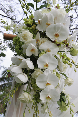 Orchids srpays in white for ceremony