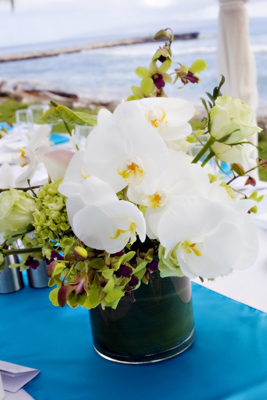 White orchids for seaside Maui wedding